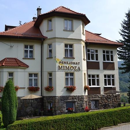Pensjonat Mimoza Świeradów-Zdrój Kültér fotó